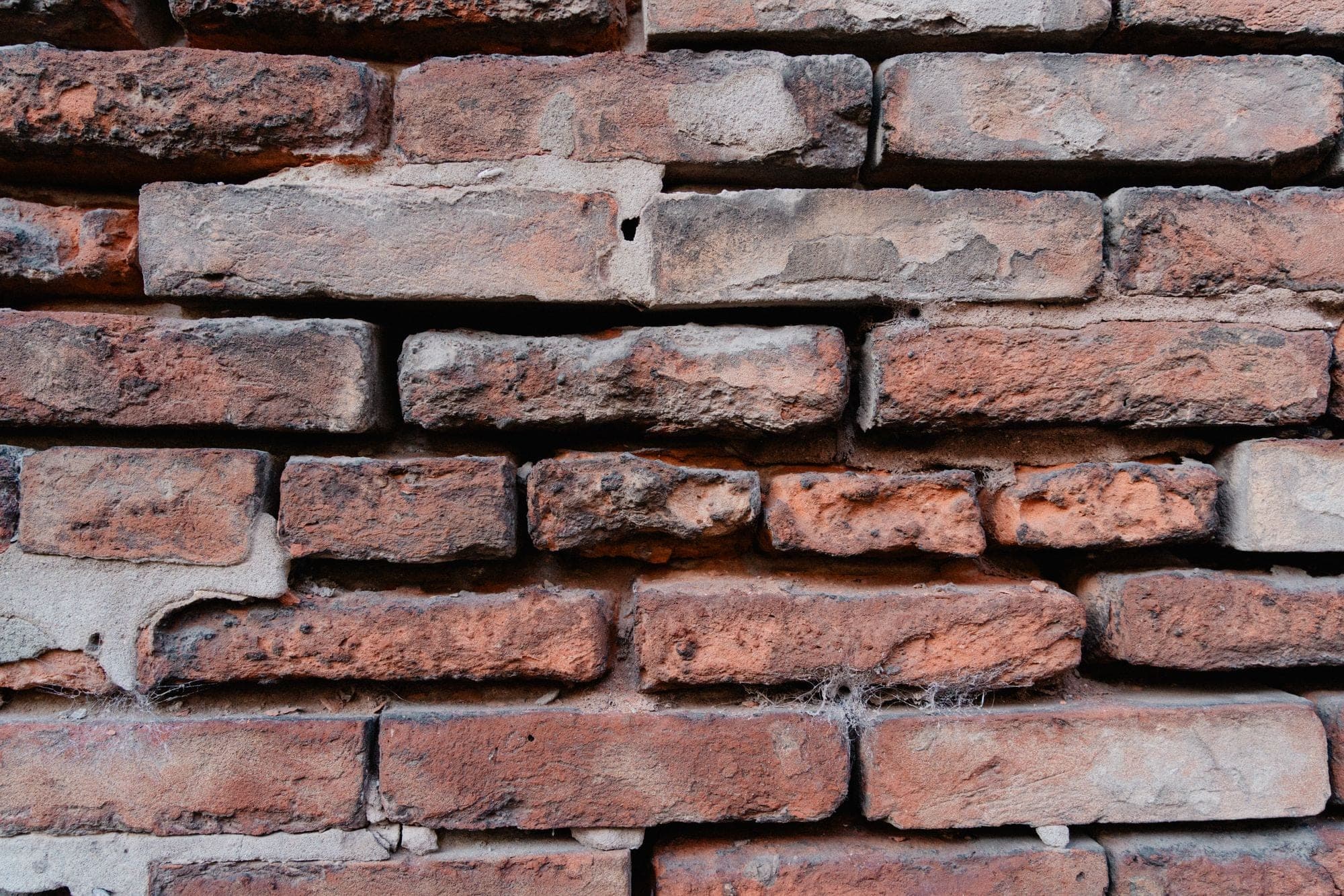 DPC Injection & Rising Damp Treatment